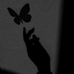 Meet your Posher, Amare